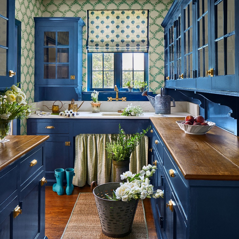 Blue kitchen cabinet ideas